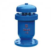  CARX-1.0複(fú)合排氣閥(fa)