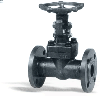 鍛鋼(gang)法蘭端閘閥